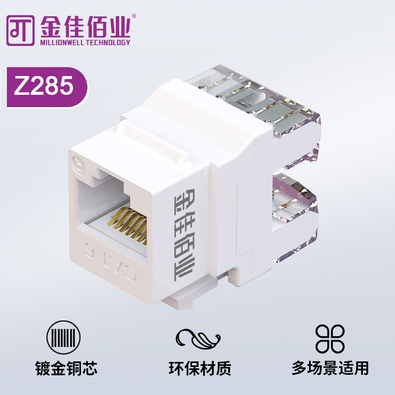 金佳佰業(yè)  六類(lèi)非屏蔽 打線網(wǎng)絡(luò)模塊Z285
